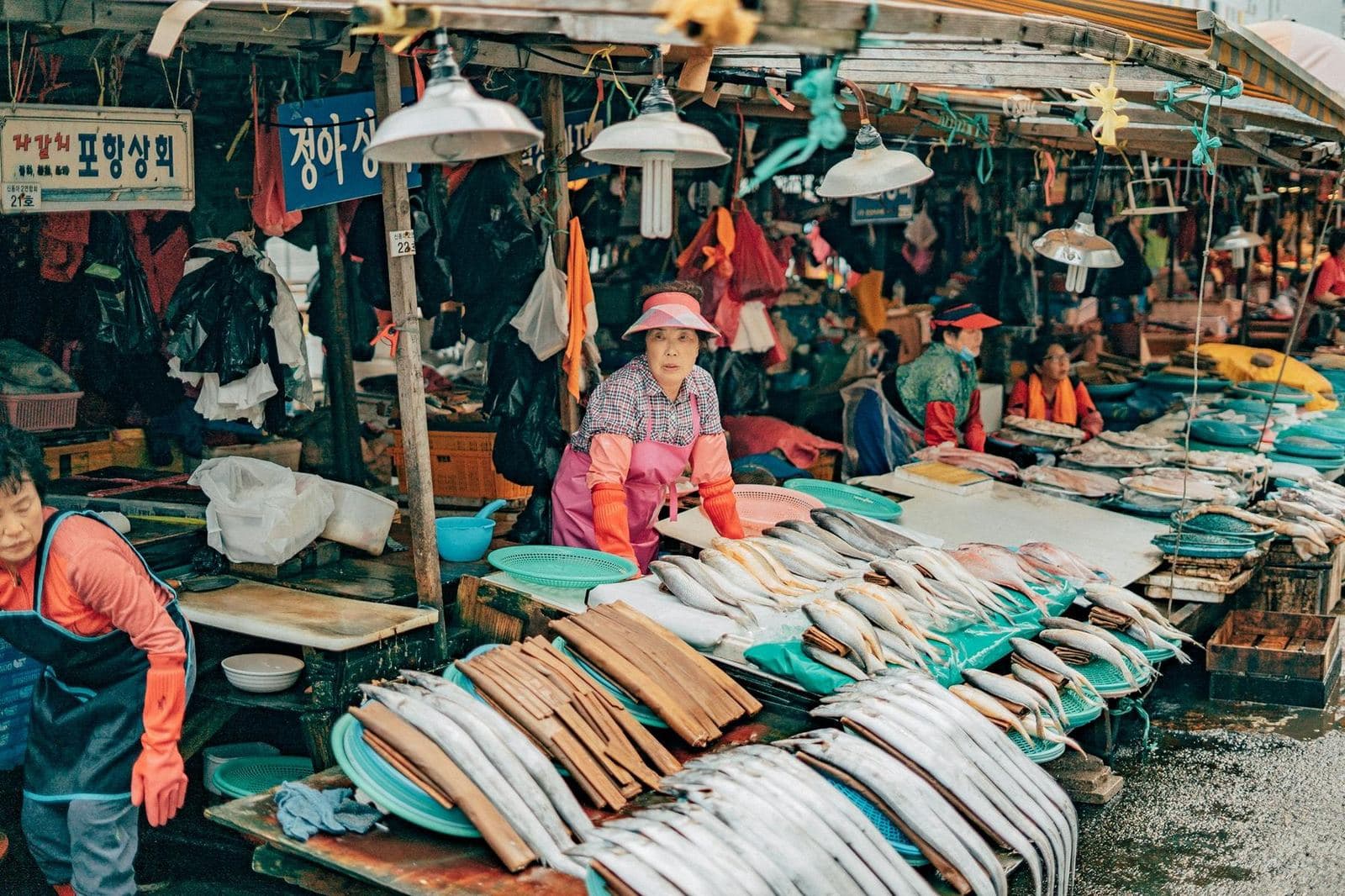 BIFF Square & Jagalchi Market