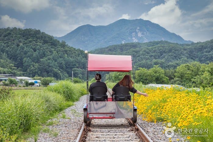 Gangchon Rail Bike
