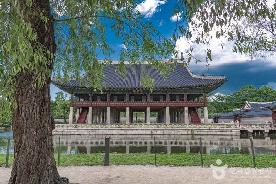 Live Your Screen Dream: The Ultimate K-Pop and K-Drama Pilgrimage for Indian Fans