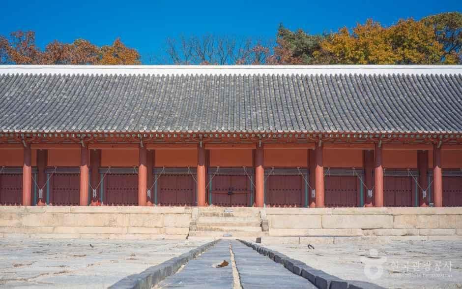 The Ultimate South Korea Educational Guide: A Curated Journey for Indian Students and Educators